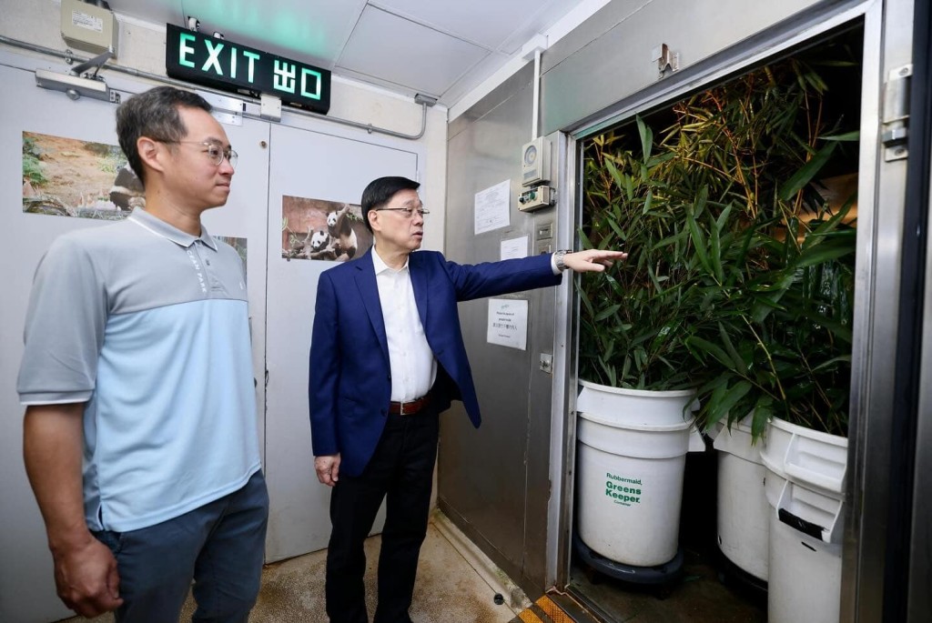 海洋公園早前已特地把廣東省種植的竹子運送到都江堰基地，讓牠們逐步適應。李家超FB圖片