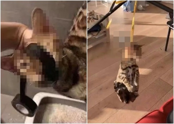 Sexy被皮帶吊起,掛在腳架上,身體懸在半空不停打轉,嘴巴被膠紙封住,又用木棍瘋狂毆打。(網圖)