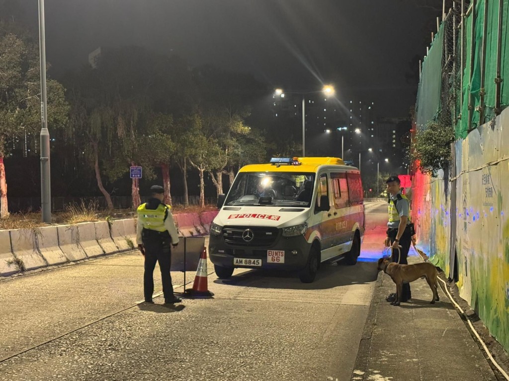 衝鋒隊及機動部隊於區內高姿態巡邏，及於策略性位置設置路障，截查可疑車輛及人士。