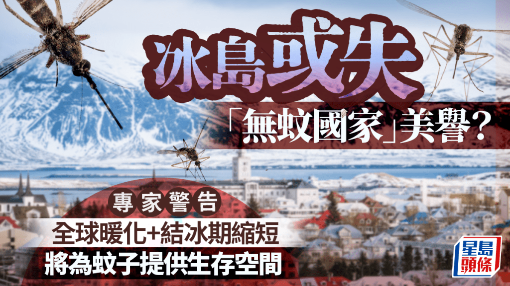 全球暖化｜冰島一獨特條件成「無蚊國家」 專家警告未來或失守