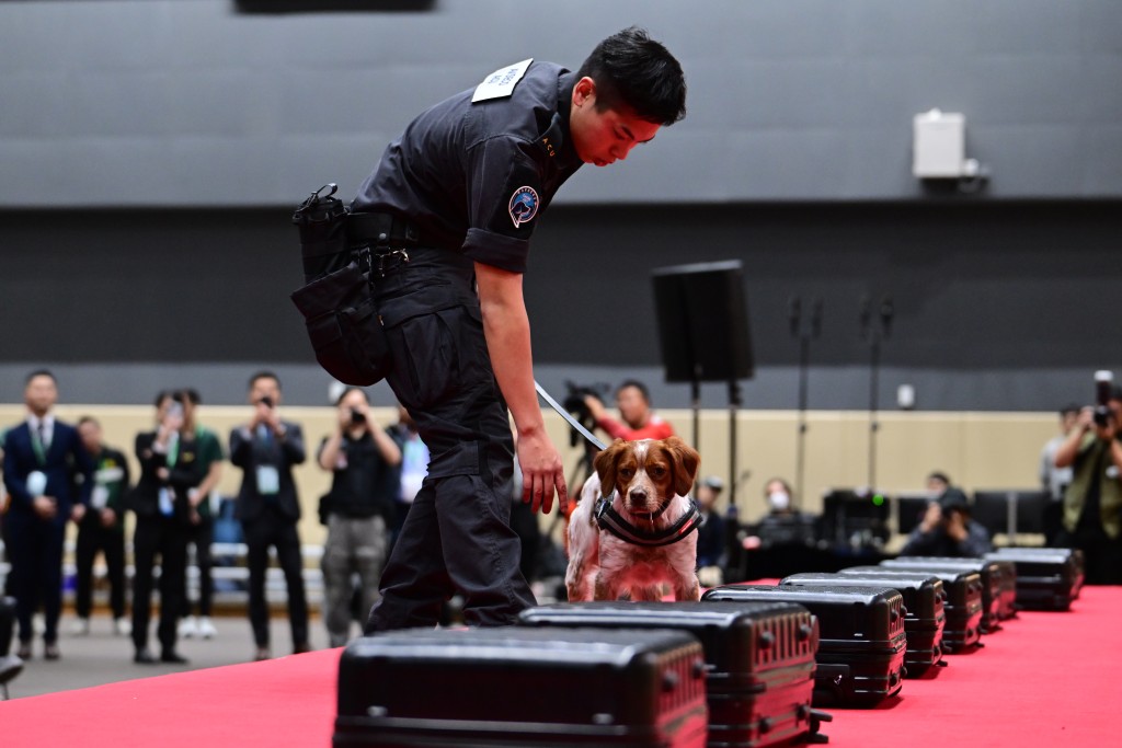 香港海关举办世界海关组织地区犬只训练中心开幕典礼会场示范搜索犬平日的工作。陈极彰摄