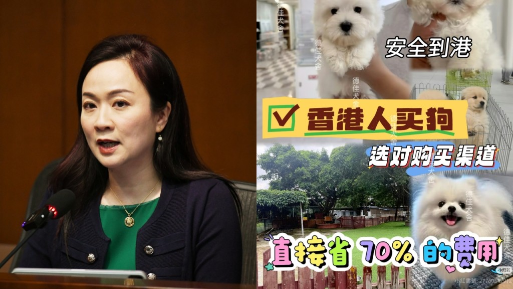 新闻追击｜打击走私格斗犬 议员促与内地部门合作 并检视法例加强阻吓