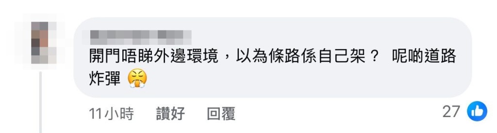 也有乘客指是汽车司机有问题。FB截图