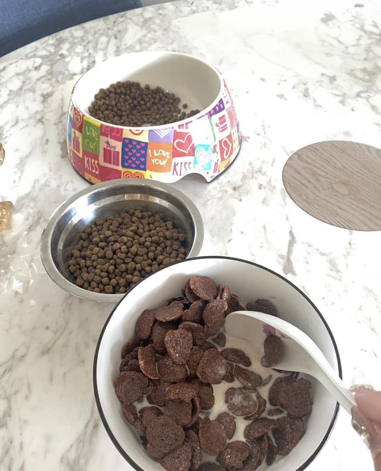 網民：我姐姐試過將狗糧同我早餐擺埋一齊（圖片來源：Facebook@表揚好姐姐開心分享區）