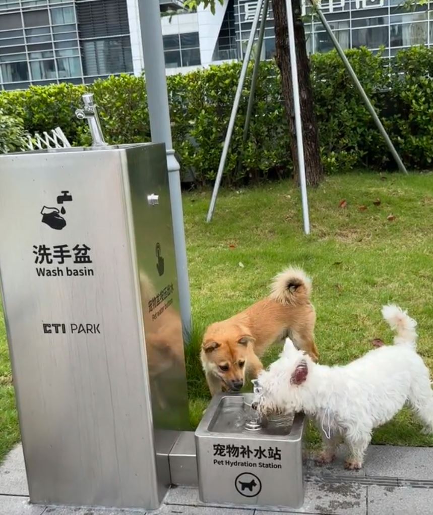 民眾希望在公園增設寵物專用的飲水設備，減少爭議。