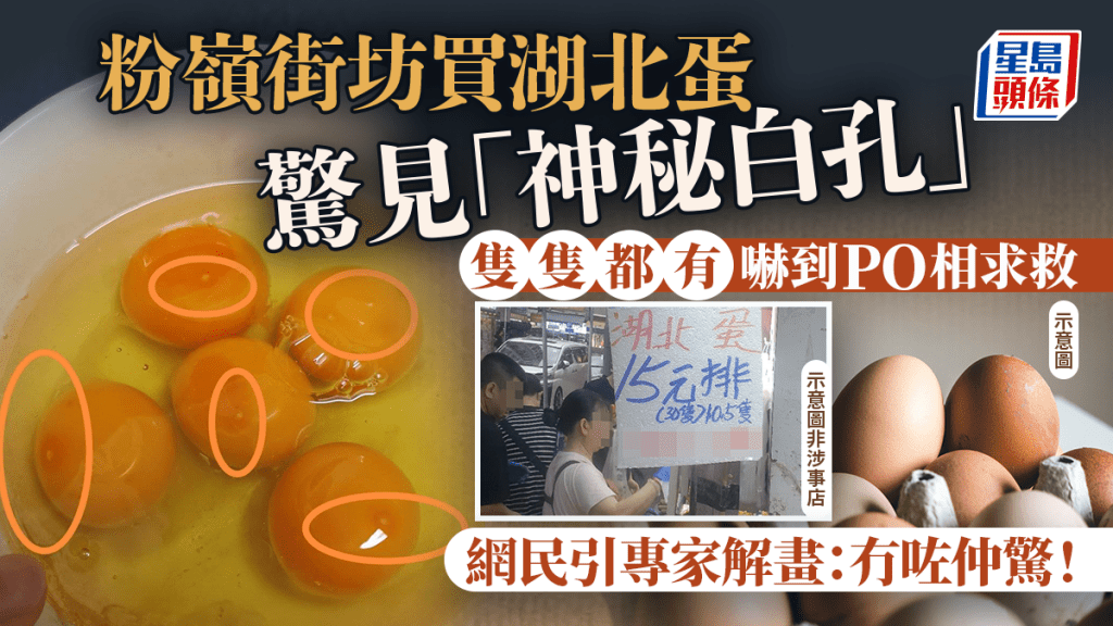 粉嶺街坊買湖北蛋驚見「神秘白孔」 隻隻都有嚇到PO相求救 網民引專家解畫：冇咗仲驚！｜Juicy叮