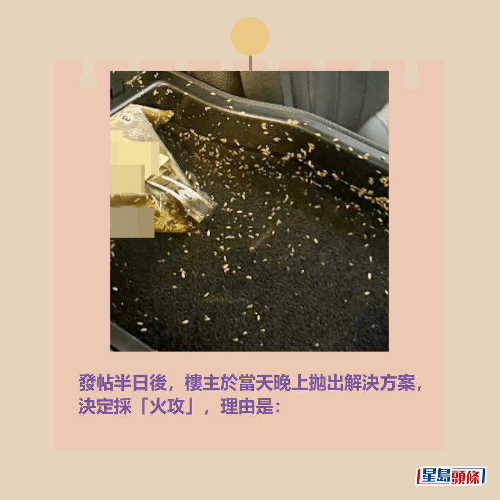發帖半日後,樓主於當天晚上拋出解決方案, 決定採「火攻」。Threads截圖 發帖半日後,樓主於當天晚上拋出解決方案, 決定採「火攻」。Threads截圖