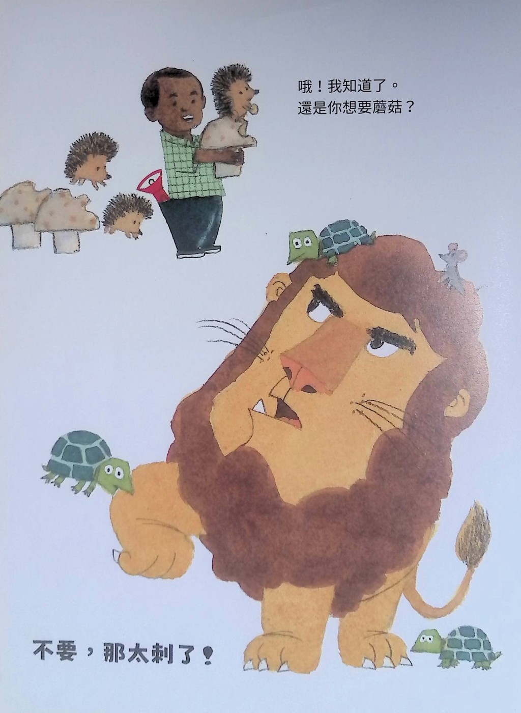(圖片來源:受訪者提供) (圖片來源:受訪者提供)