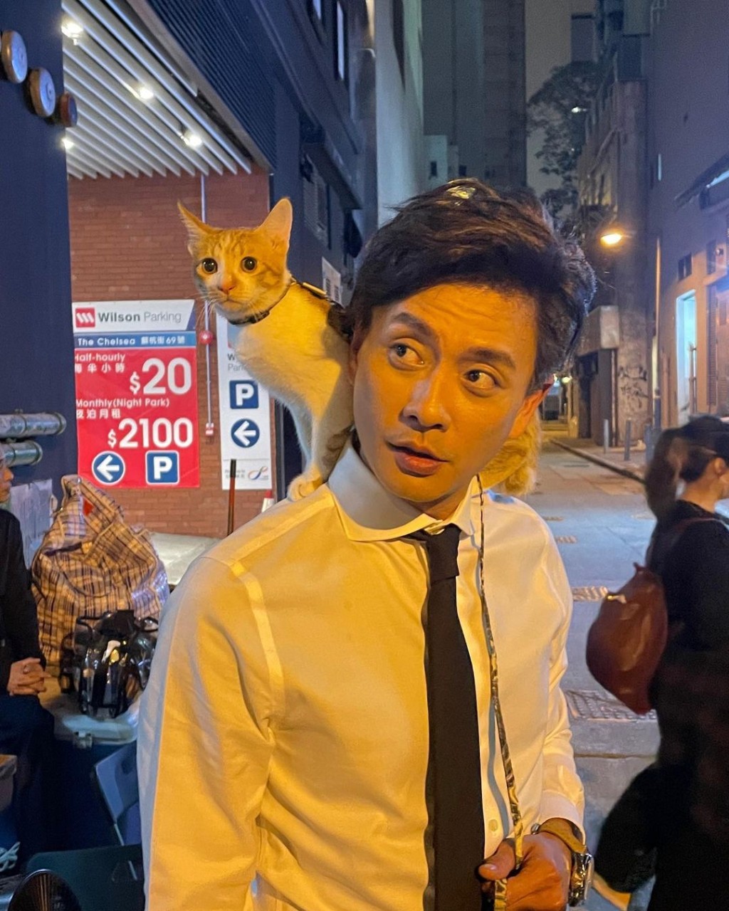 貓貓四圍望好精靈。