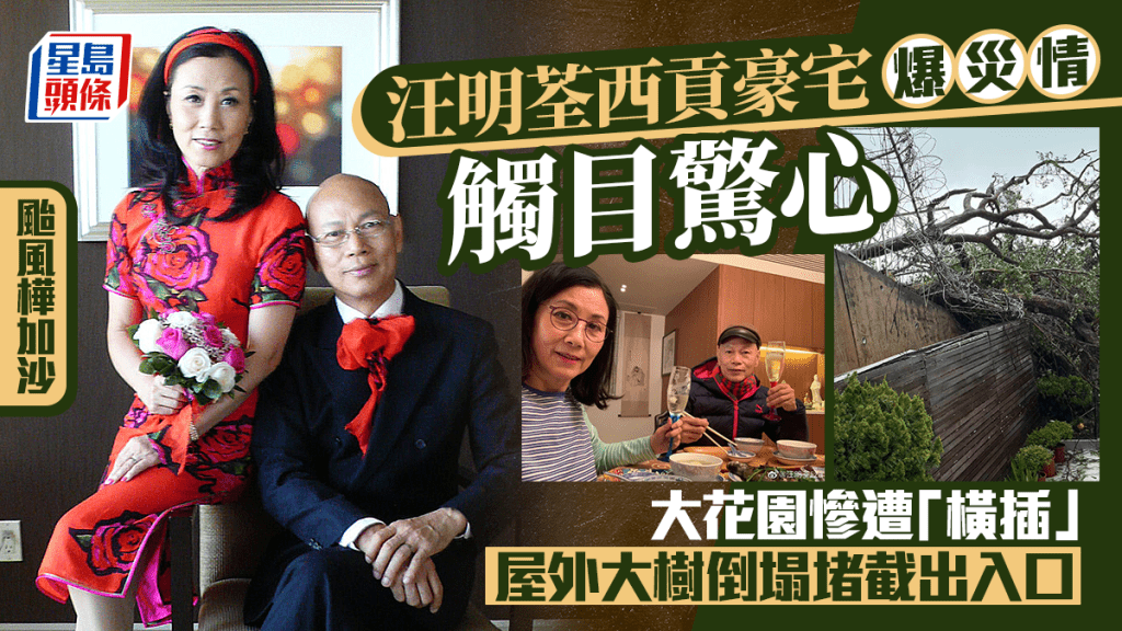 颱風樺加沙｜汪明荃西貢豪宅爆災情！巨型花園遭「橫插」獨立屋外大樹倒塌堵截出入口   消防員到場「拯救」