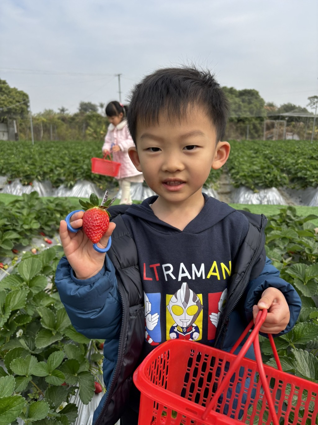 （圖片來源：《親子王》）