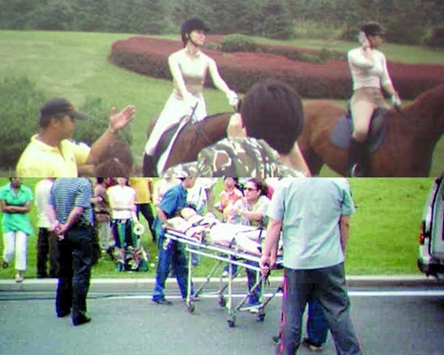2005年赴大連拍攝廣告,林志玲曾不慎墮馬,導致肋骨骨折及裂傷。