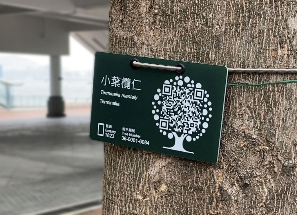 二維條碼樹木標籤提供樹木基本資料及方便市民報告問題樹木。網誌圖片