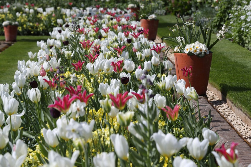 建立這座紀念花園的目的,是慶祝和紀念戴安那的一生。