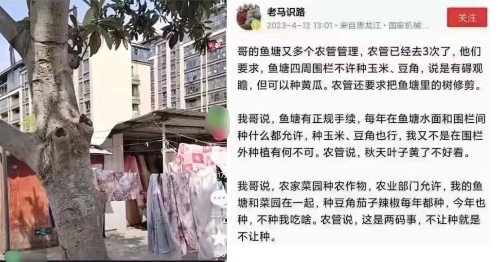 黑龙江网友发帖称农管要求他哥哥的鱼塘整改。网图
