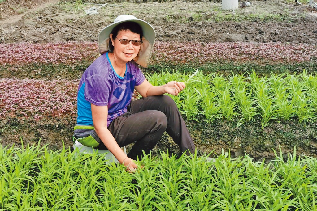 藉着耕種，Winnie找到真正的人生價值。