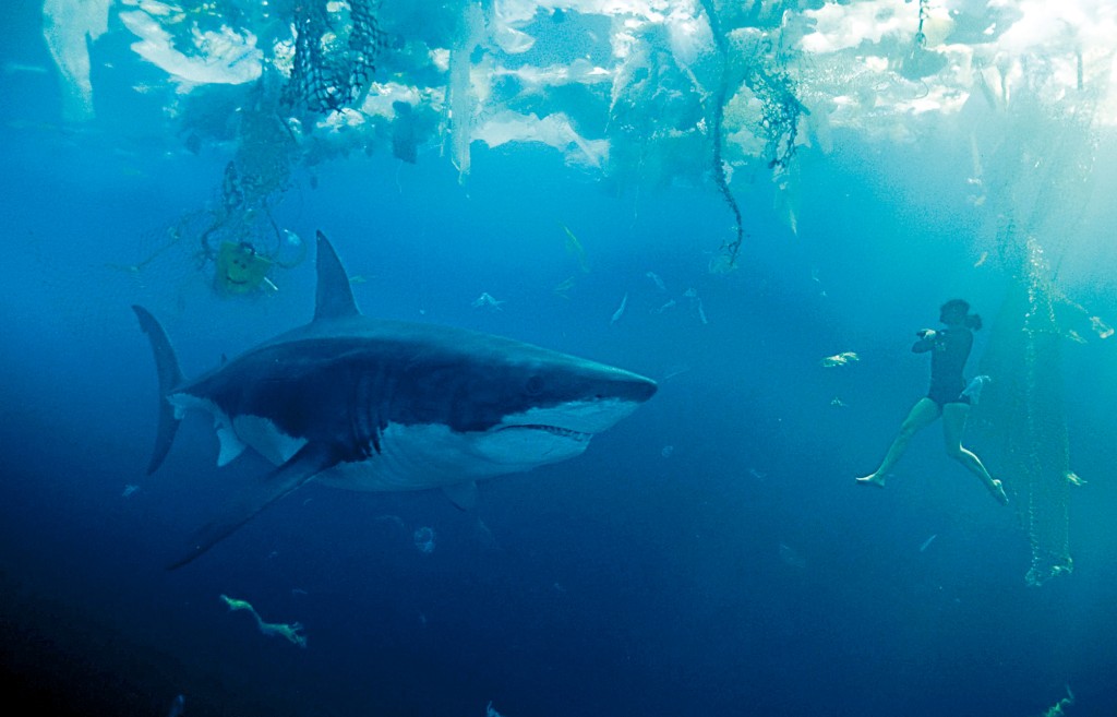 在太平洋垃圾带附近，海洋研究员Sophia跟一条尖吻鲭鲨莉莉丝相遇。