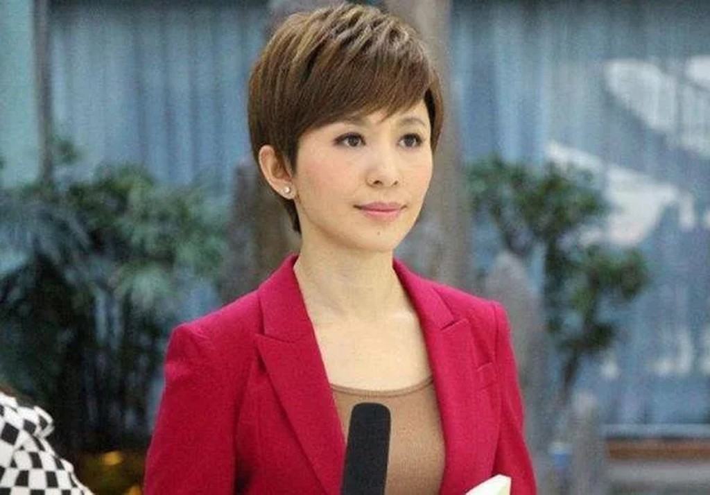 欧阳夏丹籍贯为广西桂林，曾是中央电视台新闻频道主持人。互联网