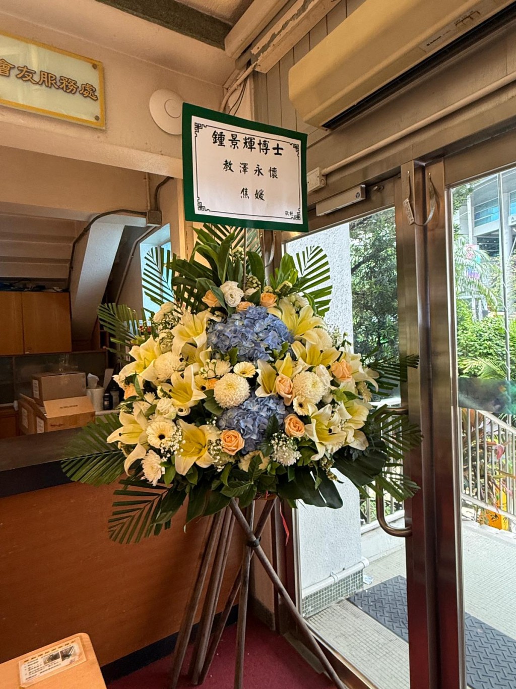焦媛
