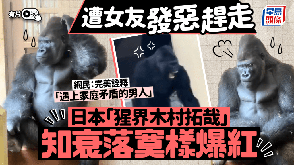 被伴侶趕出門，日本「猩界木村拓哉」近日再爆紅。