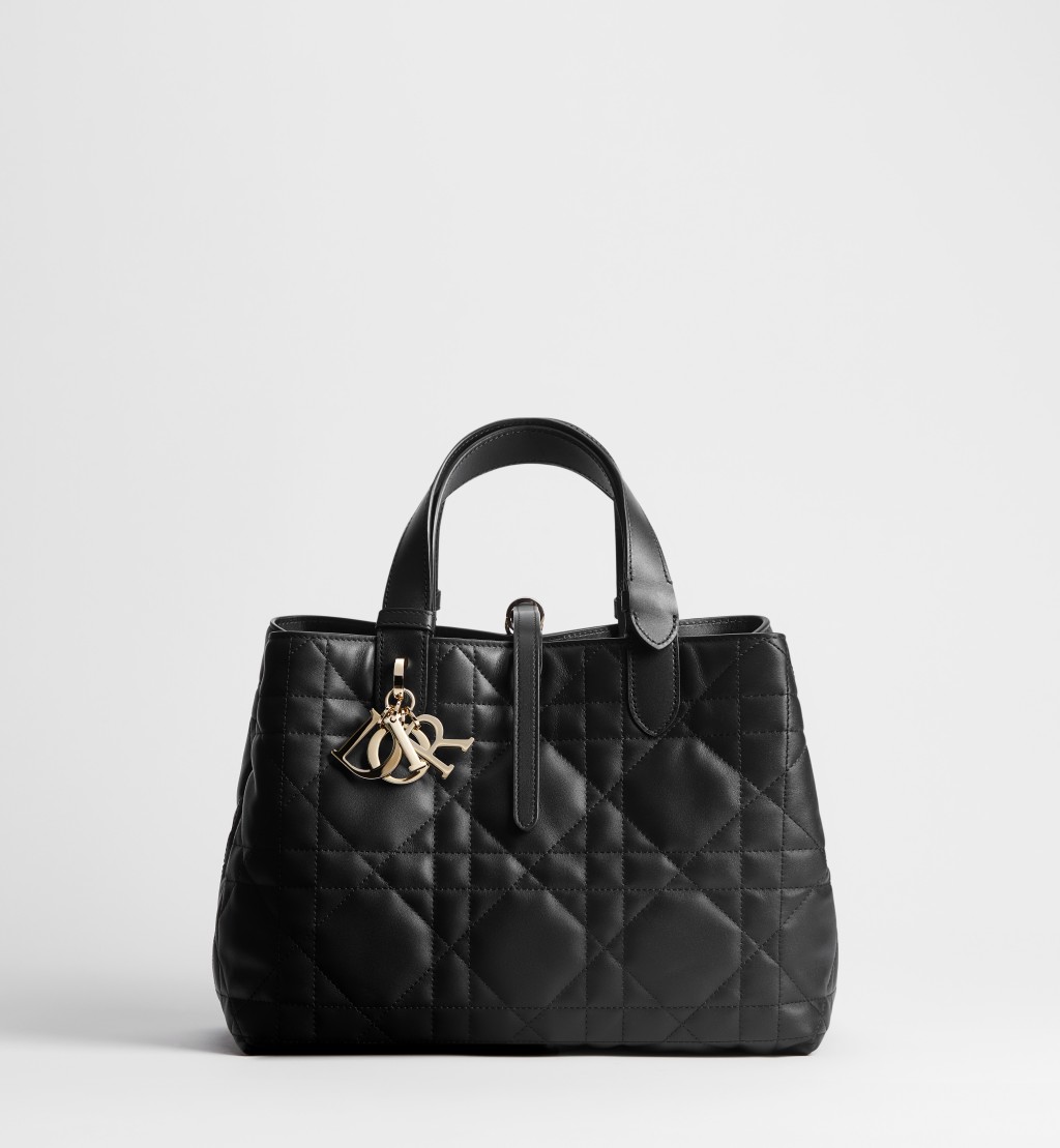 DIOR官網展示的正貨正面圖片。(DIOR官網截圖)
