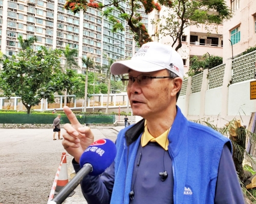 黄先生指大树倒塌后成棵「散晒」，成几十个碎片。