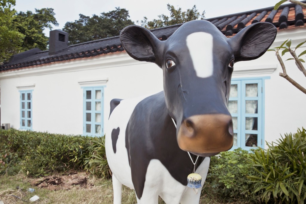薄鳧林牧場　以社區角度演繹及展示牛奶公司與週邊社區的扣連