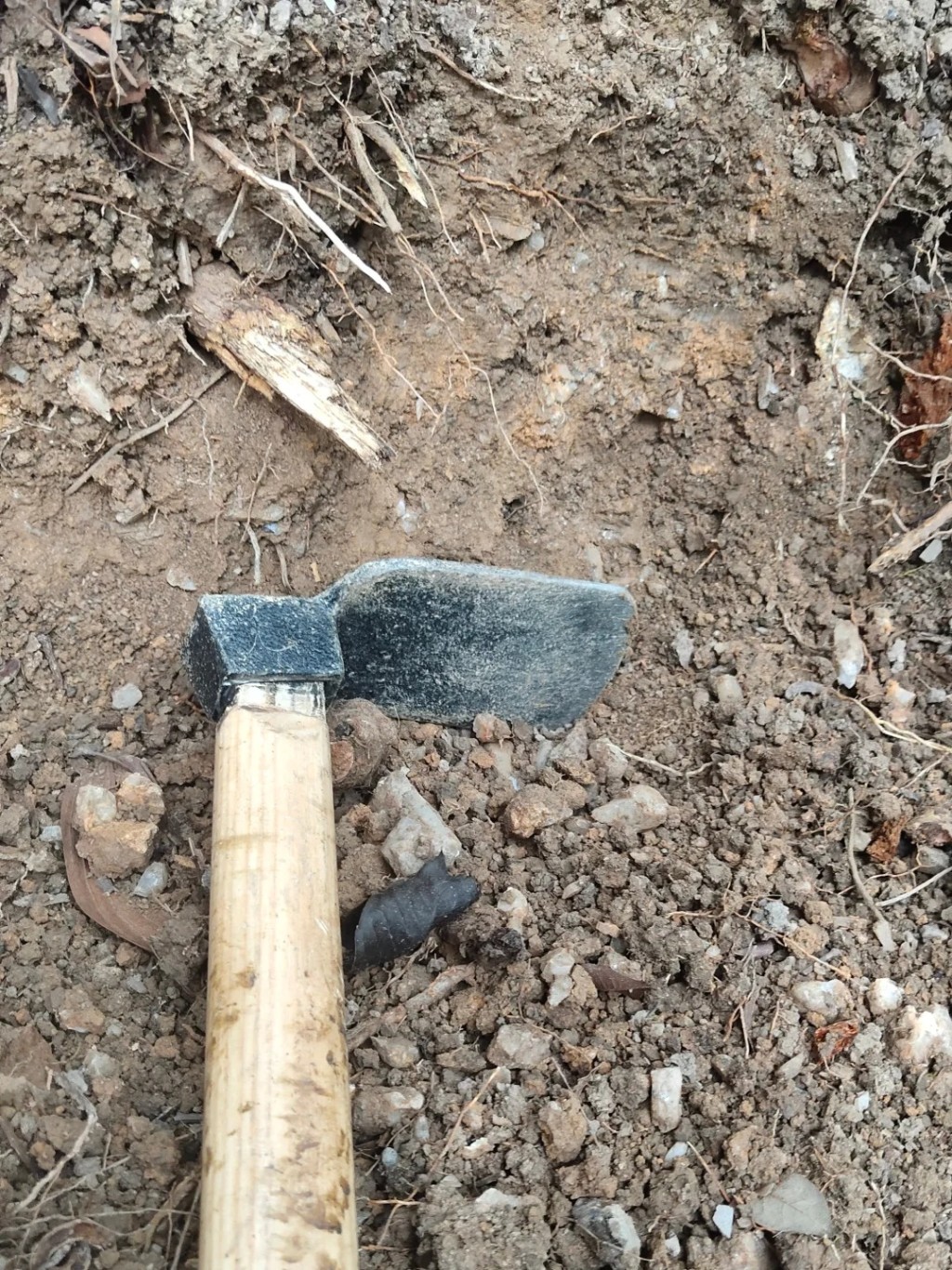 民众带同锄头去挖水晶。小红书＠晶钻梦境收藏家