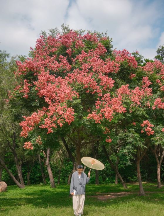 莲花山公园适合亲子秋日游