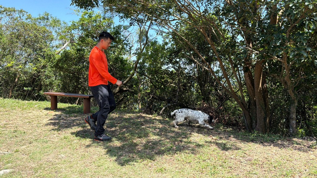 搜救犬出動。