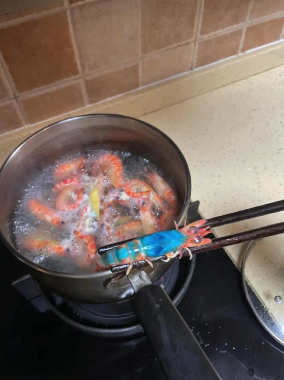 上海女子盒馬買蝦煮出「詭異藍」。