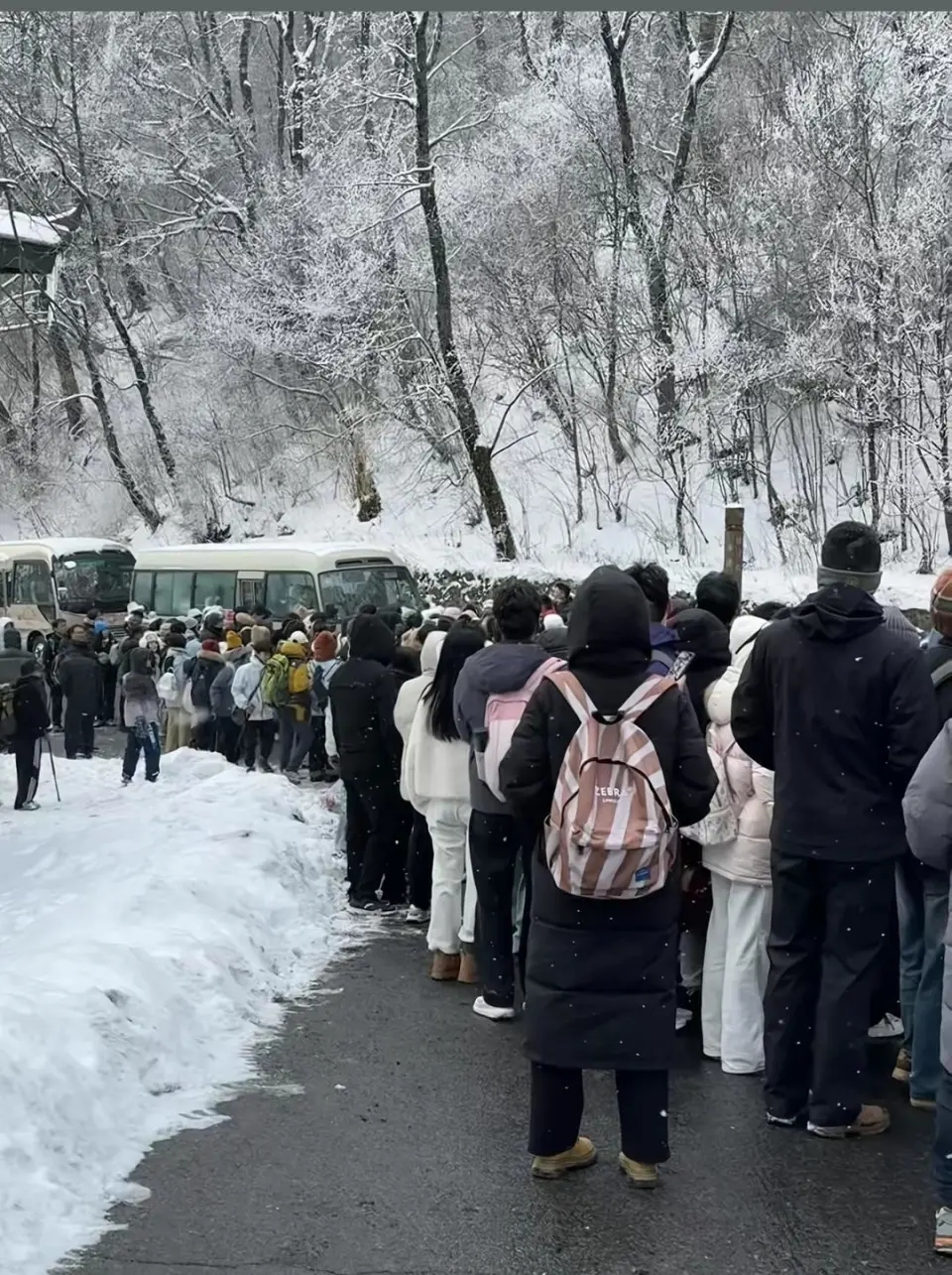 1月2日,陝西太白山數百遊客滯留。 1月2日,陝西太白山數百遊客滯留。