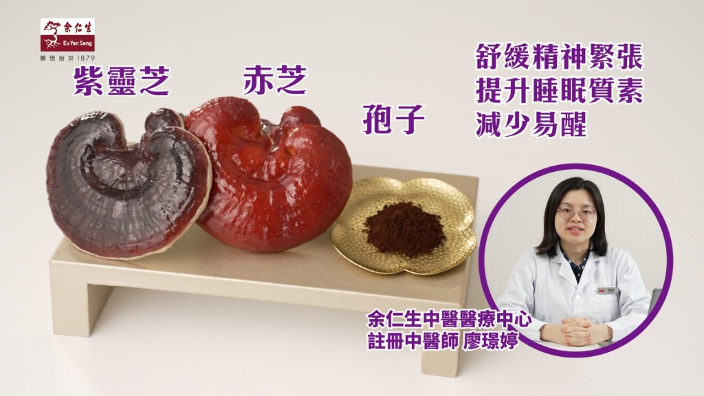 紫灵芝搭配赤芝与孢子，可舒缓精神紧张、提升睡眠质素。