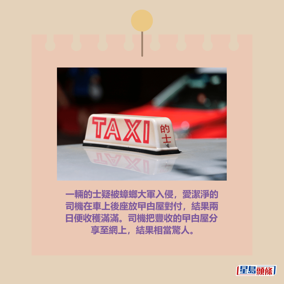 。資料圖片
