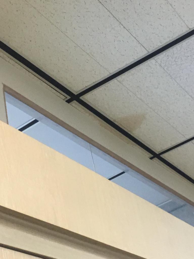 罗启瑞办公室外的天花。鹰君发言人提供相片