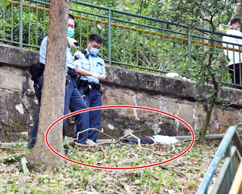 事主在賽西湖公園一圍欄以麻繩吊頸死亡。