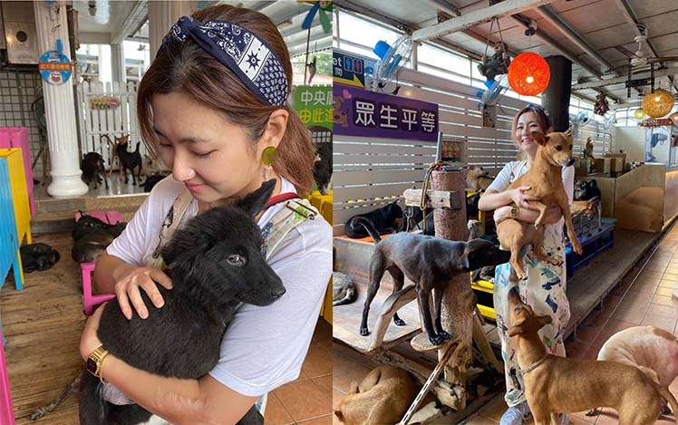 Selina在自己的「重生日」前往台南，探訪流浪狗收容所，為受傷的狗兒送上關心。
