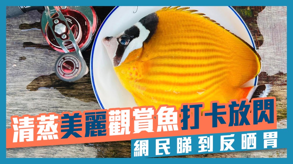 香港街市魚類海鮮研究社FB圖片