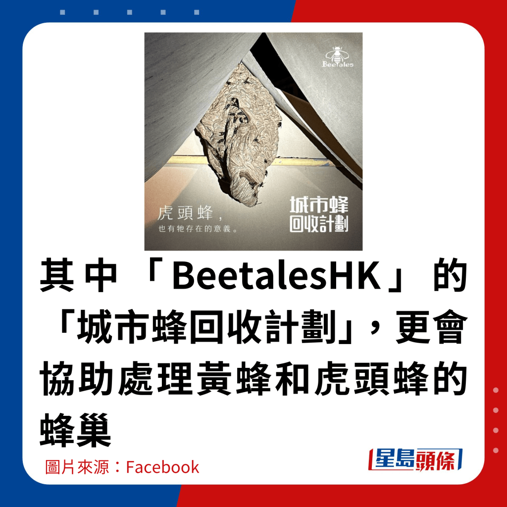 其中「BeetalesHK」的「城市蜂回收计划」，更会协助处理黄蜂和虎头蜂的蜂巢