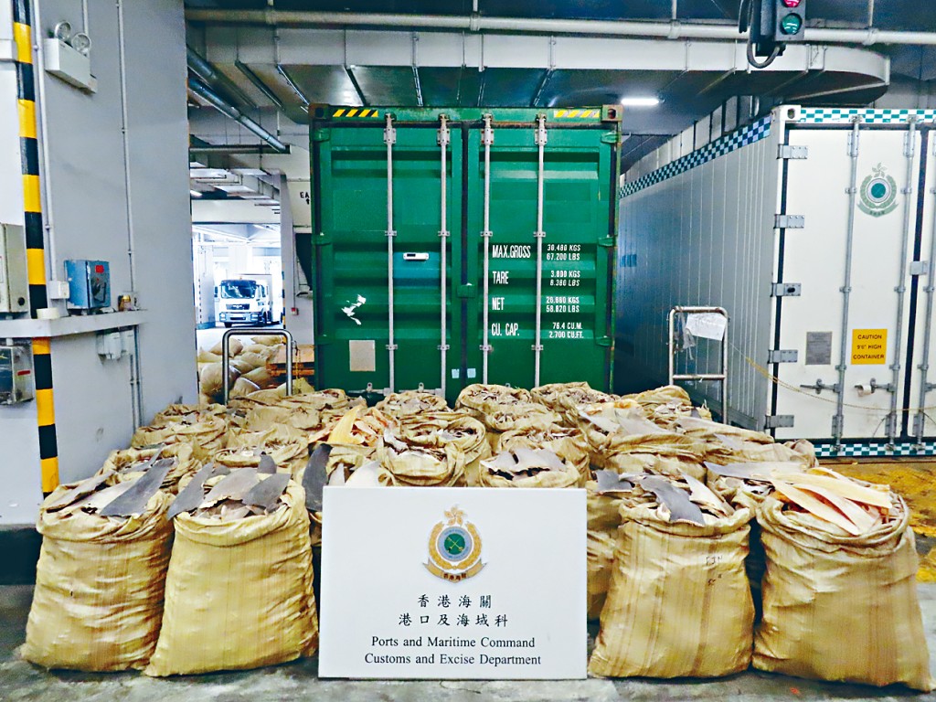 海关检获市值约330万元的怀疑受管制干鱼翅。