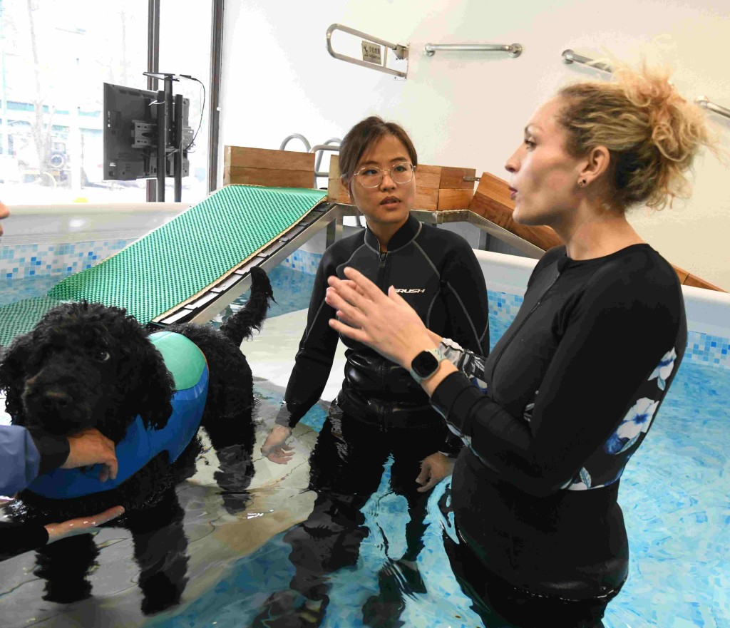 同是來自英國的寵物水療專家Katherine（右），指導犬隻水療師，幫助狗仔回復正確走路姿勢。