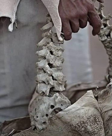 Arnold Putra的人骨手袋。網圖