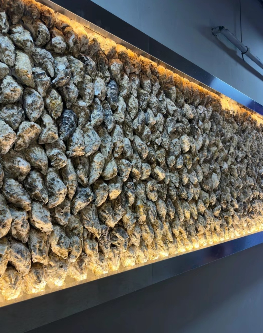 珠海美食2024｜5. 蠔城橫琴生蠔海鮮火鍋 牆上鋪滿蠔殼。（圖片來源：小紅書@醬醬油～）