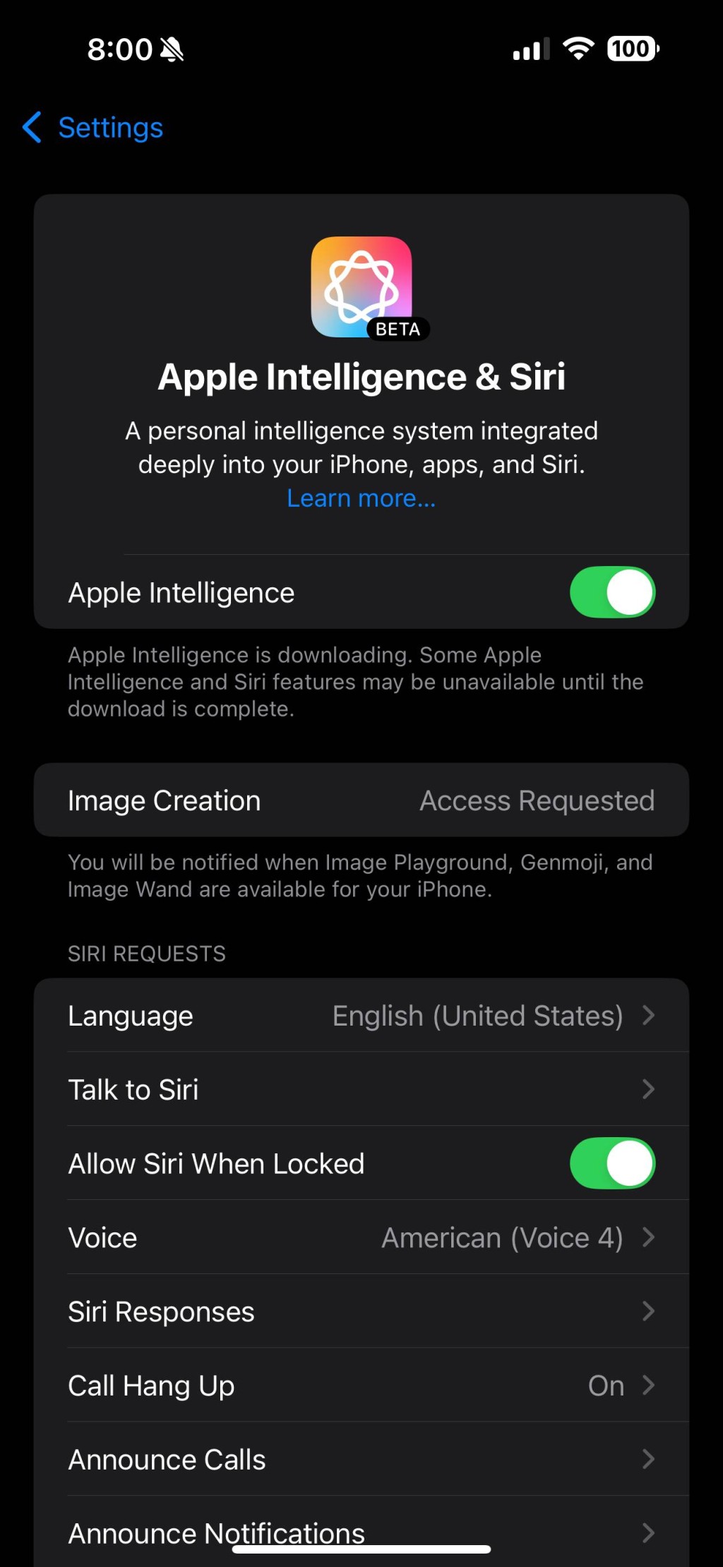 设定好地区及语言，接下来就可在设定开启Apple Intelligence。