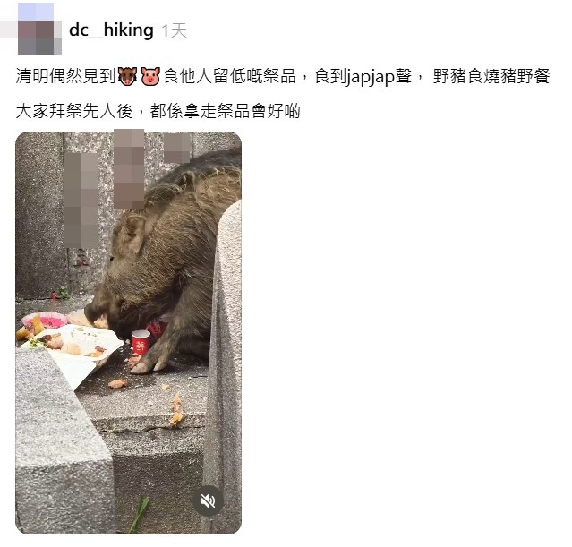 Threads截圖（資料來源：dc__hiking＠Threads）
