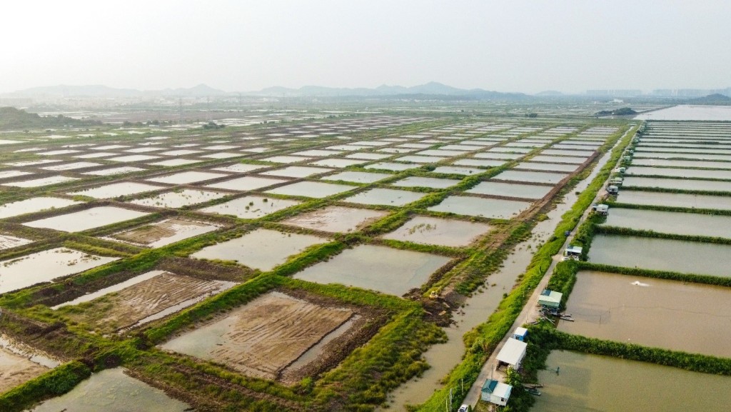 中山的圍田