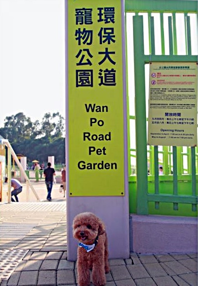 將軍澳寵物公園發生懷疑毒狗事件。網圖 將軍澳寵物公園發生懷疑毒狗事件。網圖