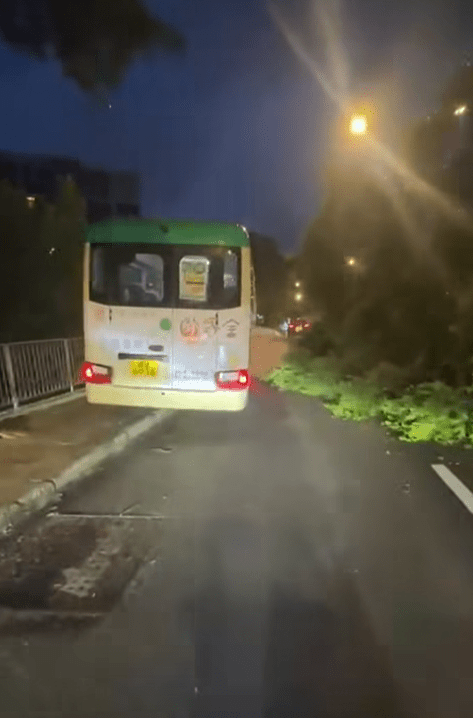 有專線小巴見到樹身橫亙於馬路，只能將車駛上行人路。網上圖片