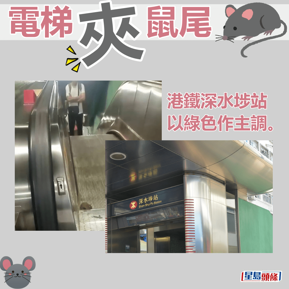 港铁深水埗站以绿色作主调。fb“屯门友”截图和资料图片