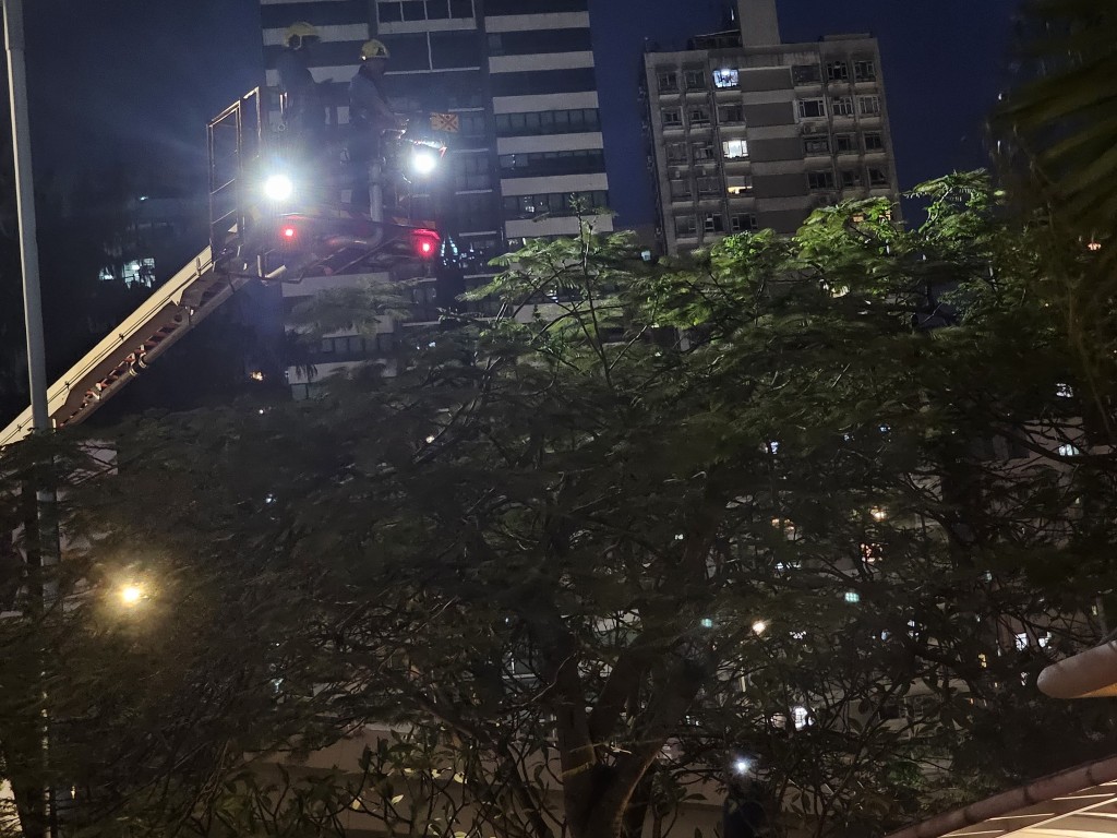 昨日消防及警方曾在現場拯救小B但一直無功而還,入夜後小B更不見蹤影。網上圖片 昨日消防及警方曾在現場拯救小B但一直無功而還,入夜後小B更不見蹤影。網上圖片
